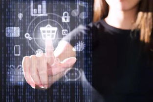 中小學(xué)人工智能課程設(shè)置 推廣編程教育，開(kāi)發(fā)應(yīng)用軟件，培育未來(lái)創(chuàng)新人才