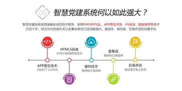 鼎維 以定制化與系統化方案，引領教育軟件創新開發